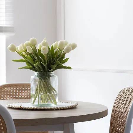 Apartment Elite Center Superior